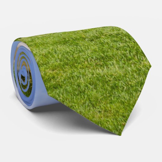 Bridgeton Bridge and Mill Stropdas (Opgerold)