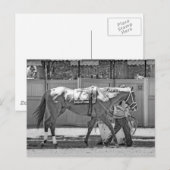 Bridgetown- Multi-Stakes winnende Thoroughbred Briefkaart (Voorkant / Achterkant)