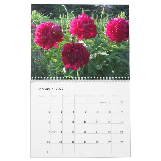 Bridgewater Gardens Peonies 2015 Calendar Flowers Kalender (Jan 2027)