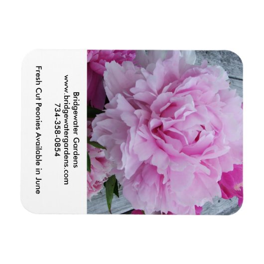 Bridgewater Gardens Pioenrozen magneet (Horizontaal)