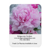 Bridgewater Gardens Pioenrozen magneet (Verticaal)