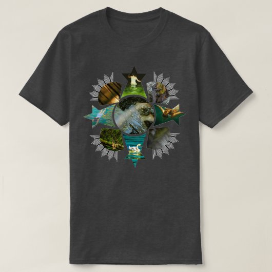 Bridgewater Triangle T-shirt (Design voorkant)