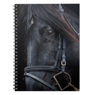 Bridled Black Stallion Face Notitieboek