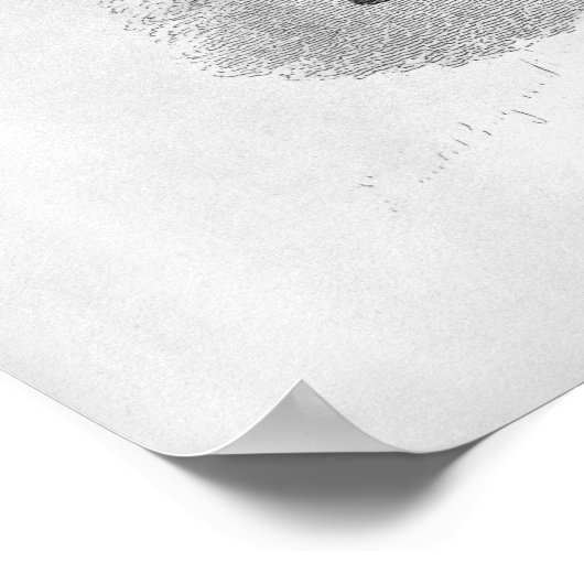 Brid'oison Poster (Hoek)