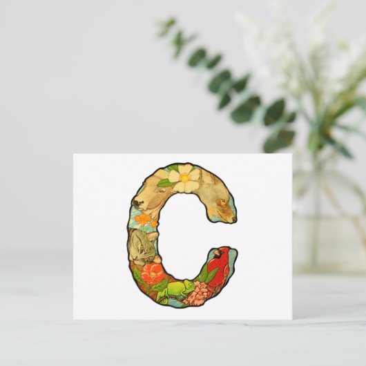 Brief C Briefkaart (Staand voorkant)