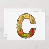 Brief C Briefkaart (Voorkant / Achterkant)