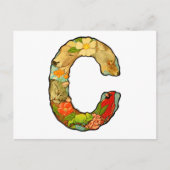 Brief C Briefkaart (Voorkant)