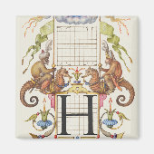 Brief H van Mira Calligraphiae Monumenta Magneet (Voorkant)