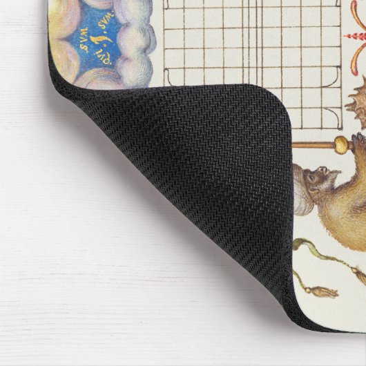 Brief H van Mira Calligraphiae Monumenta Muismat (Hoek)