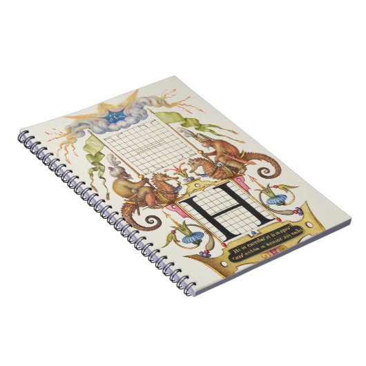 Brief H van Mira Calligraphiae Monumenta Notitieboek (Rechterzijde)