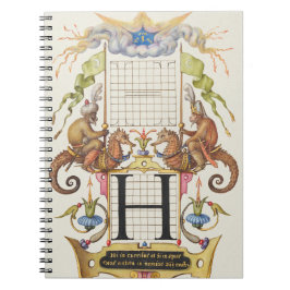 Brief H van Mira Calligraphiae Monumenta Notitieboek