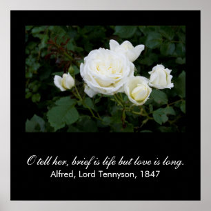 Brief is leven maar liefde is lang (Tennyson quote Poster