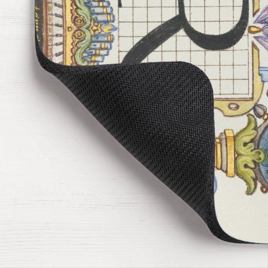 Brief R van Mira Calligraphiae Monumenta Muismat (Hoek)