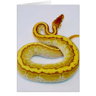 Brief "S" - gele doornPython