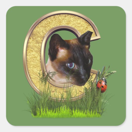 Brief Siamese-Capital-Monogram C Vierkante Sticker (Voorkant)