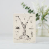 Brief Y van een alfabet-primer Briefkaart (Staand voorkant)