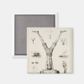 Brief Y van een alfabet-primer Magneet (Voorkant / Achterkant)