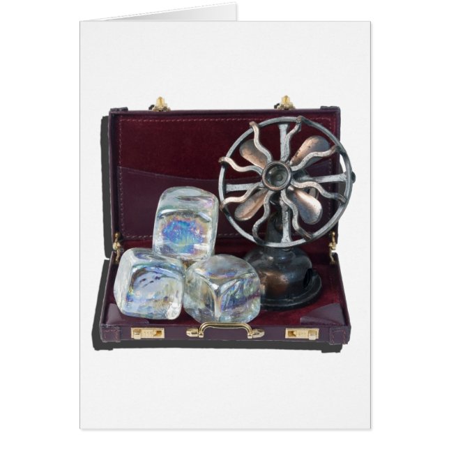 BriefcaseIceCubesFan081914.png (Voorkant)