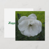 Briefkaart (Voorkant / Achterkant)