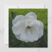 Briefkaart (Voorkant)