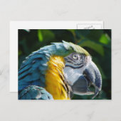 Briefkaart (Voorkant / Achterkant)