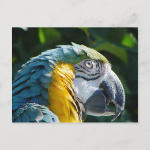 Briefkaart