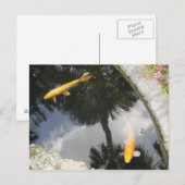 Briefkaart (Voorkant / Achterkant)