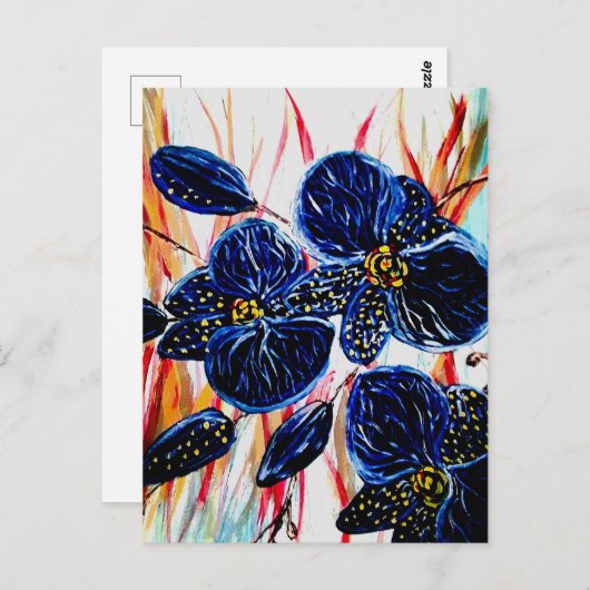 Briefkaart (Voorkant / Achterkant)