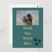 Briefkaart (Voorkant / Achterkant)