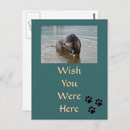  Briefkaart (Voorkant / Achterkant)