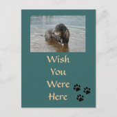  Briefkaart (Voorkant)