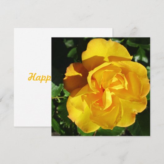 Briefkaart (Voorkant / Achterkant)