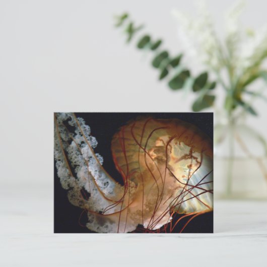 Briefkaart (Staand voorkant)