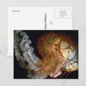 Briefkaart (Voorkant / Achterkant)