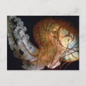 Briefkaart (Voorkant)