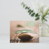 Briefkaart (Staand voorkant)