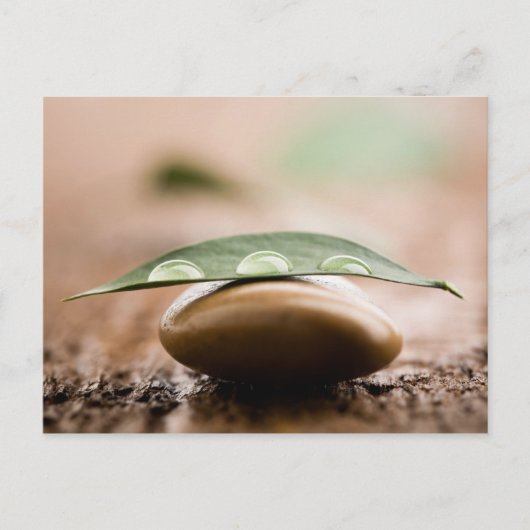 Briefkaart (Voorkant)