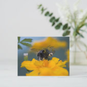 Briefkaart (Staand voorkant)