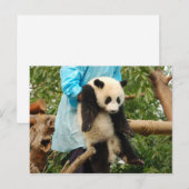 Briefkaart (Voorkant / Achterkant)