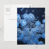 Briefkaart (Voorkant / Achterkant)