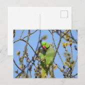 Briefkaart (Voorkant / Achterkant)