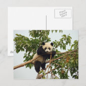 Briefkaart (Voorkant / Achterkant)