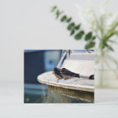 Briefkaart (Staand voorkant)