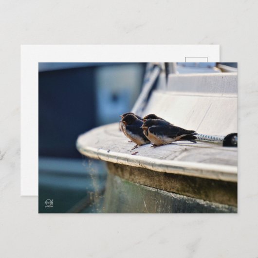 Briefkaart (Voorkant / Achterkant)