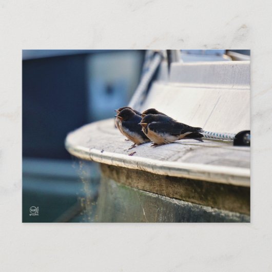 Briefkaart (Voorkant)