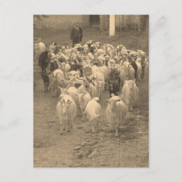 Briefkaart