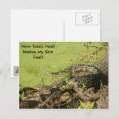 Briefkaart (Voorkant / Achterkant)