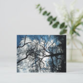 Briefkaart (Staand voorkant)