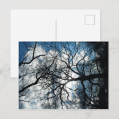 Briefkaart (Voorkant / Achterkant)