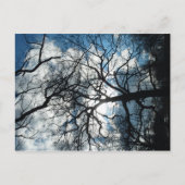 Briefkaart (Voorkant)